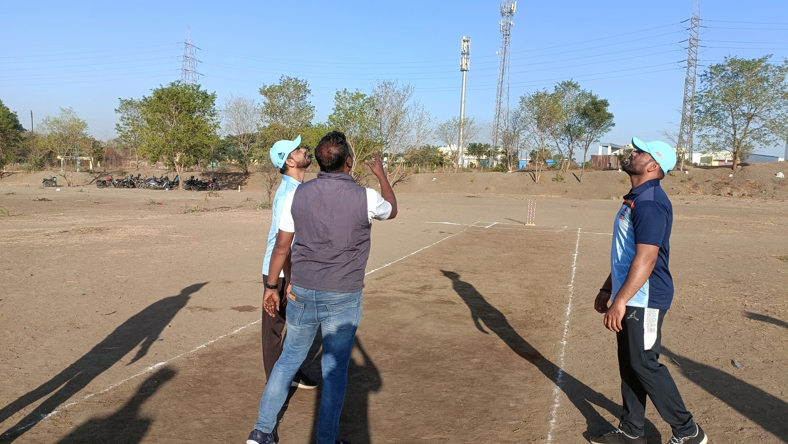 Tree Plantation